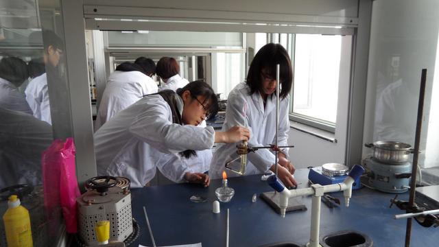 参赛选手在认真做实验