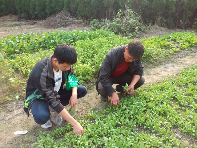 朱师傅悉心指导