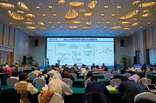 DSC08259-opq649911652